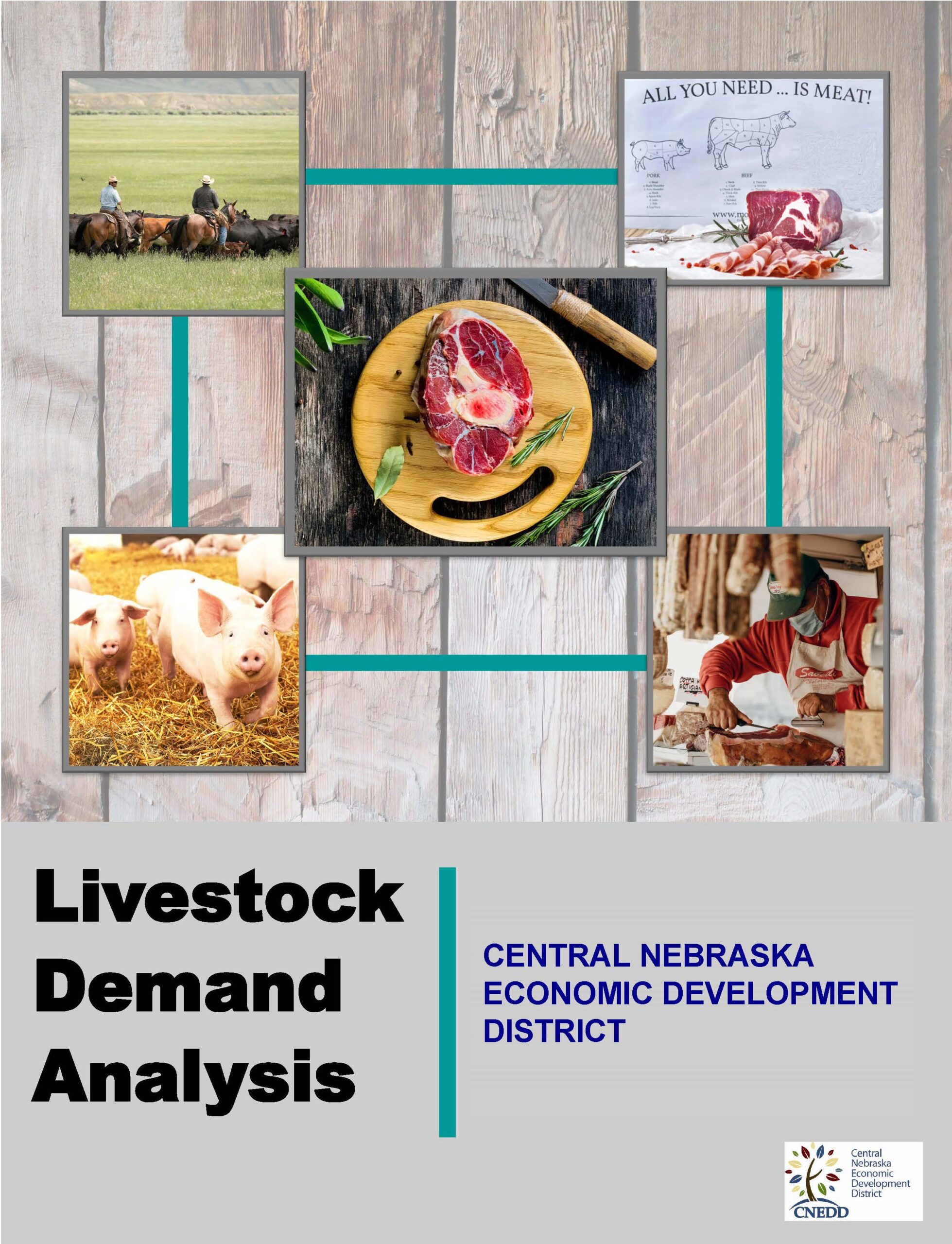 Livestock Demand Analysis Report Final JPEG